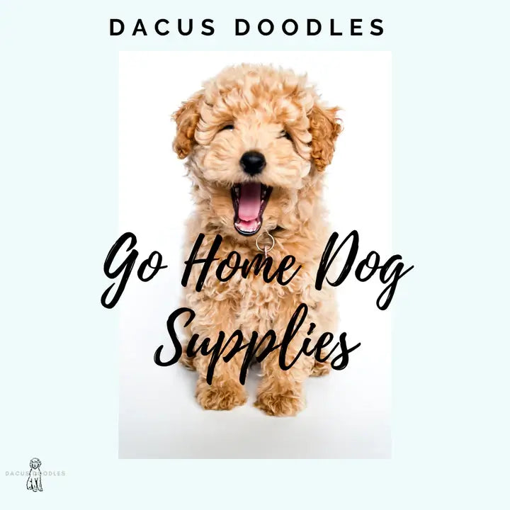 Go Home Day Supplies recommended by Dacus Doodles