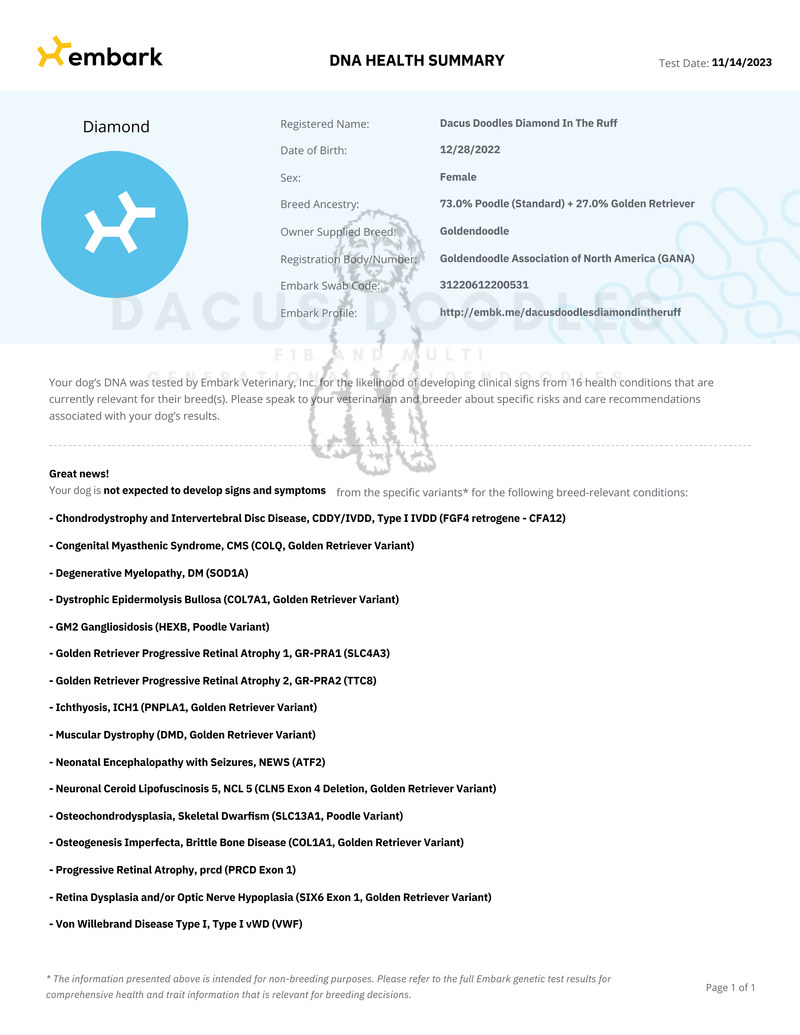 Embark: DNA Genetic Health Testing