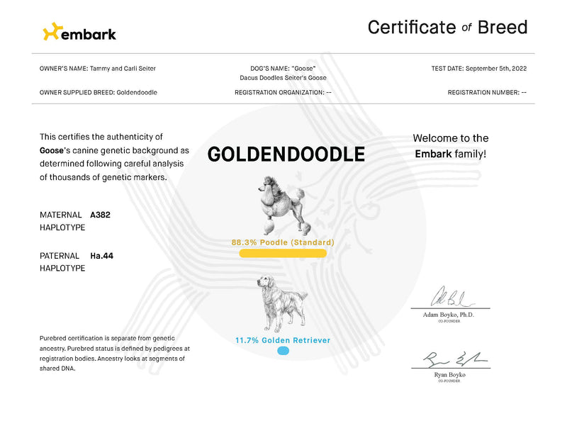 Embark: Certificate of Breed