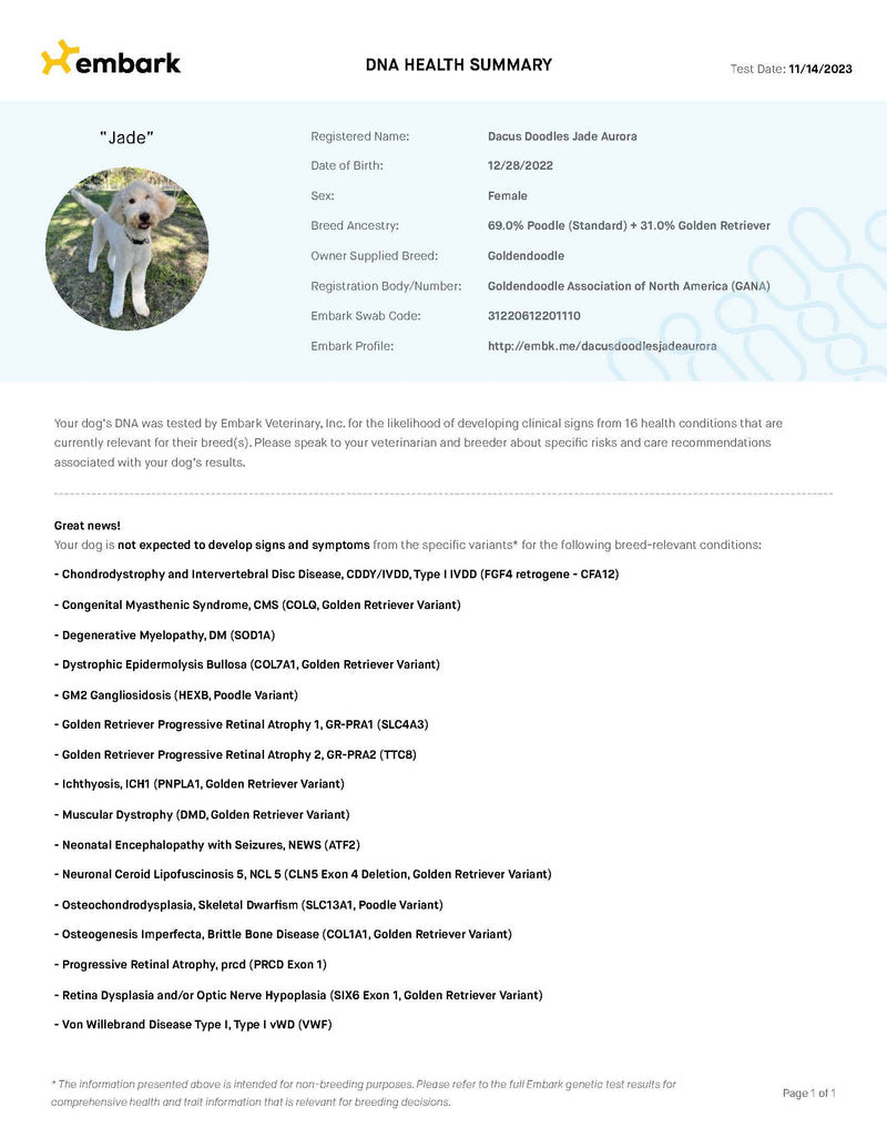 Embark: DNA Genetic Health Testing