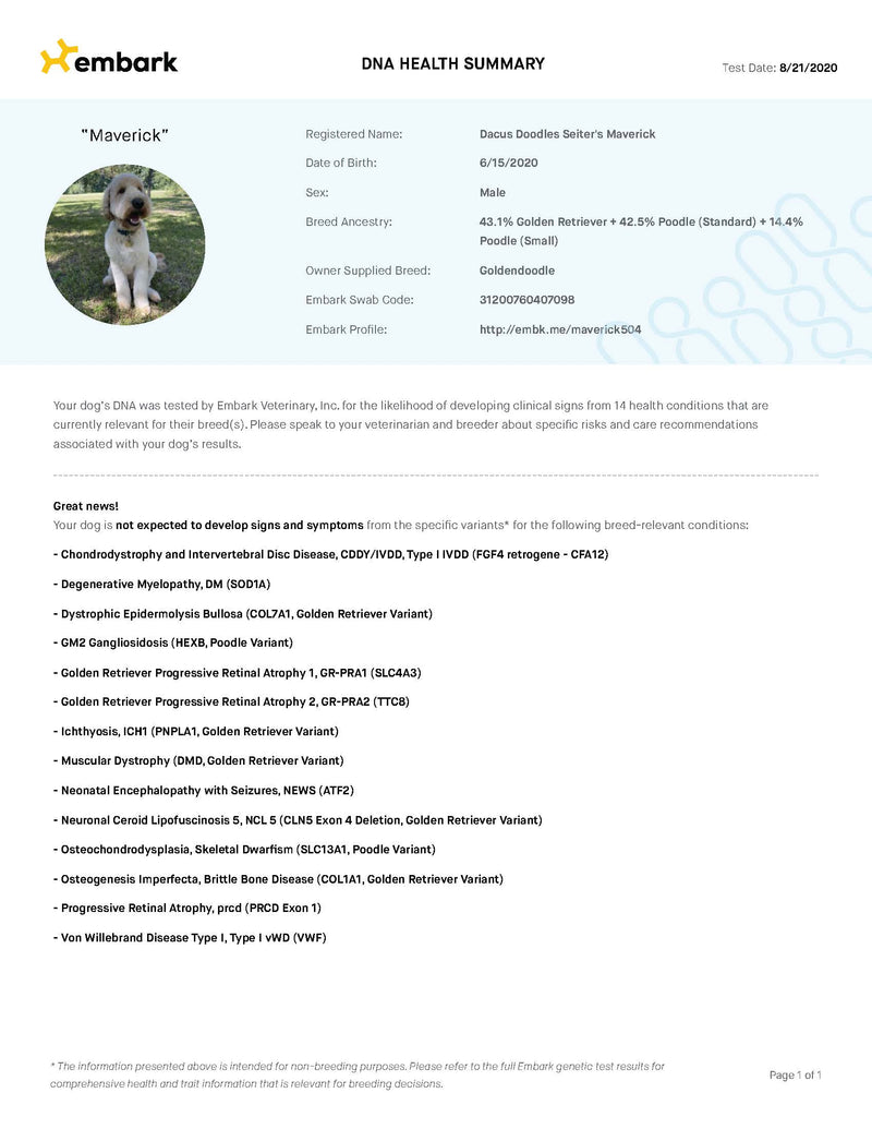 Embark: DNA Genetic Health Testing