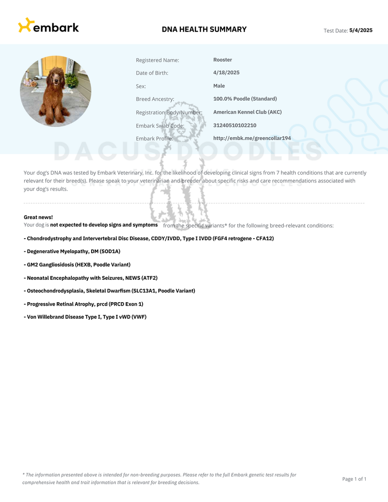 Embark: DNA Genetic Health Testing