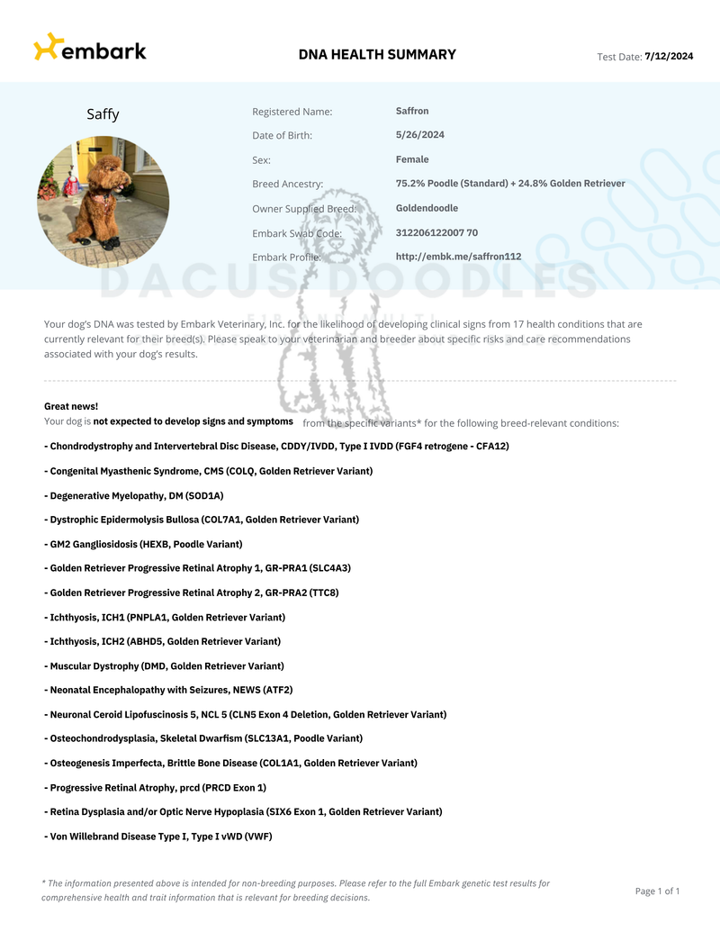 Embark: DNA Genetic Health Testing