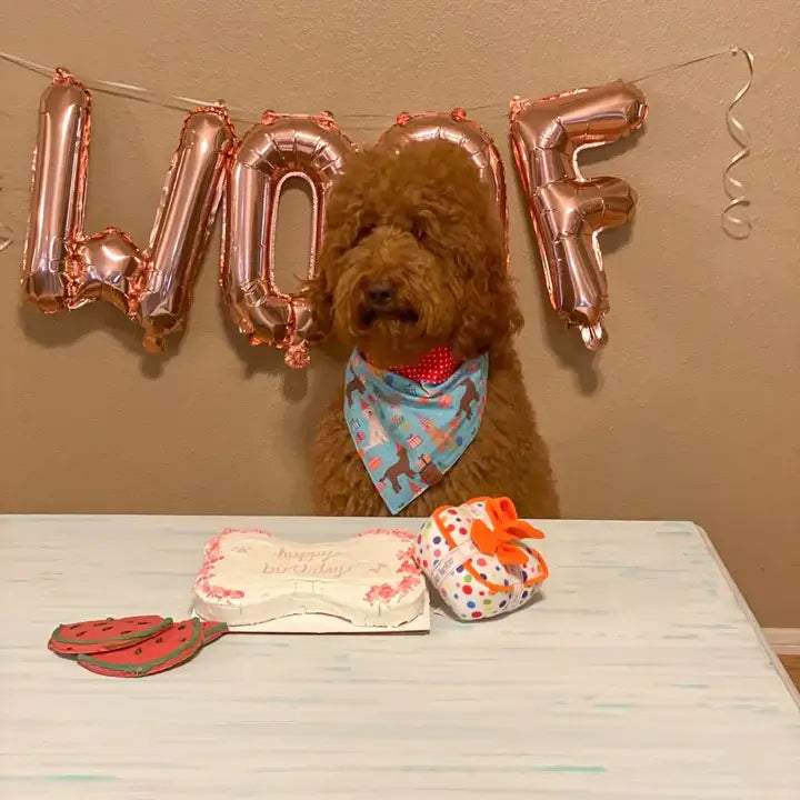 Happy 2nd Birthday Lucy