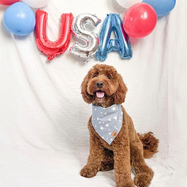 Happy and Safe 4th of July