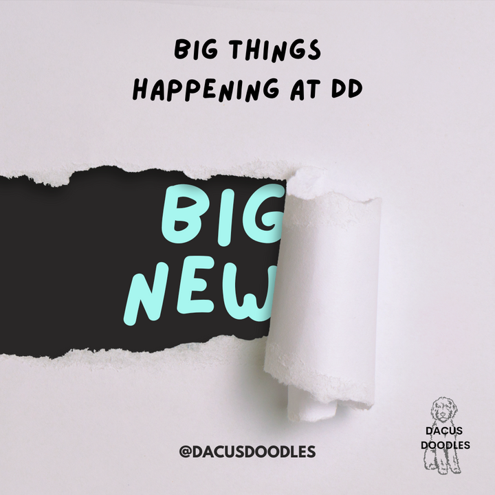 Big Things Happening This Week!