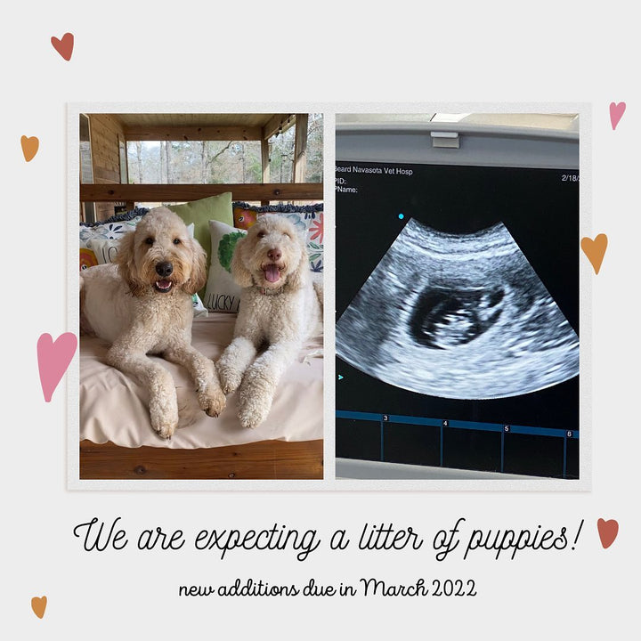 Ethel x Maverick March 2022