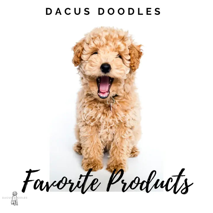 Puppy products we love and why we love them.