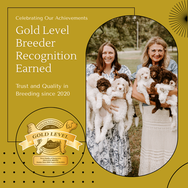 Dacus Doodles is a GANA Gold Level Goldendoodle Breeder