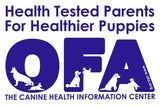 Health Tested Goldendoodle Puppies in partner with the canine health information center OFA
