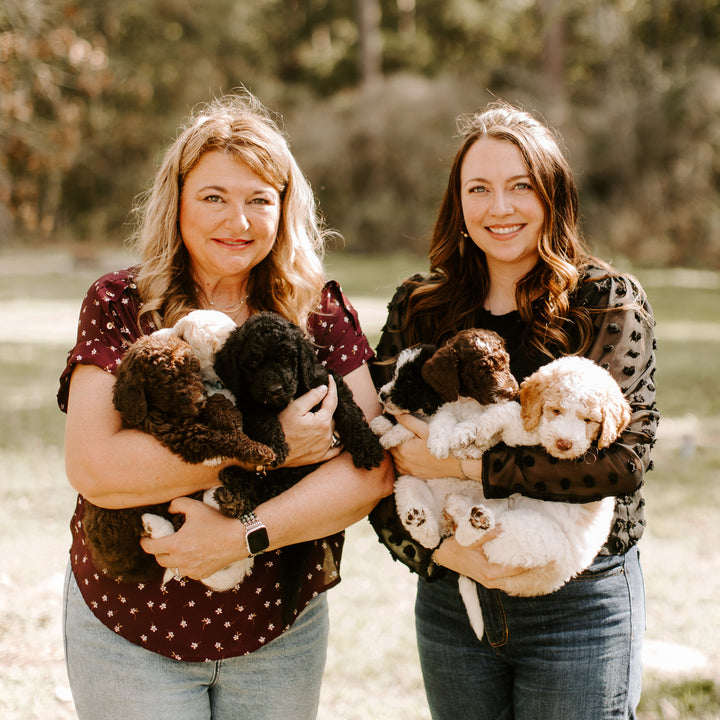 Dacus Doodles Ethical Goldendoodle Puppy Breeders in Texas with their dogs