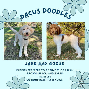 Jade and Goose's Litter Reservation