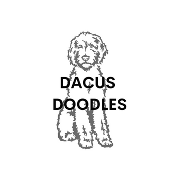Dacus Doodles Dog Logo for Goldendoodle breeder in Texas
