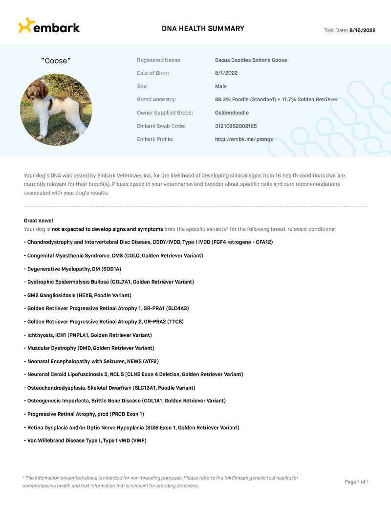 Embark: DNA Genetic Health Testing