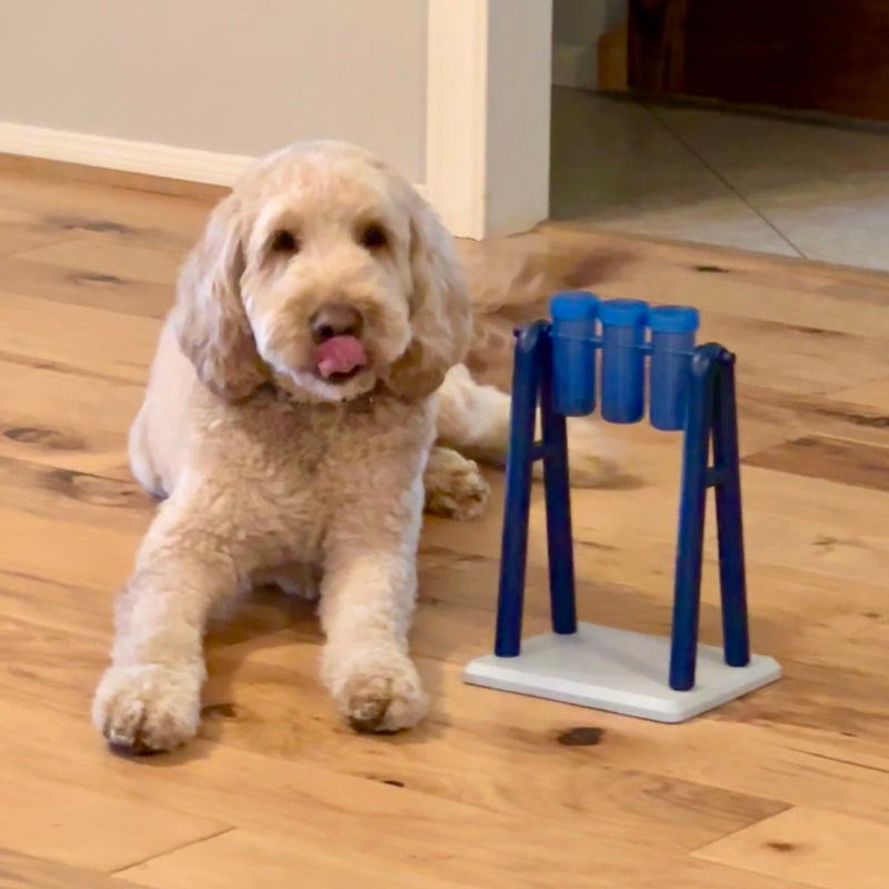 Multigen Goldendoodle Montgomery Texas Maverick