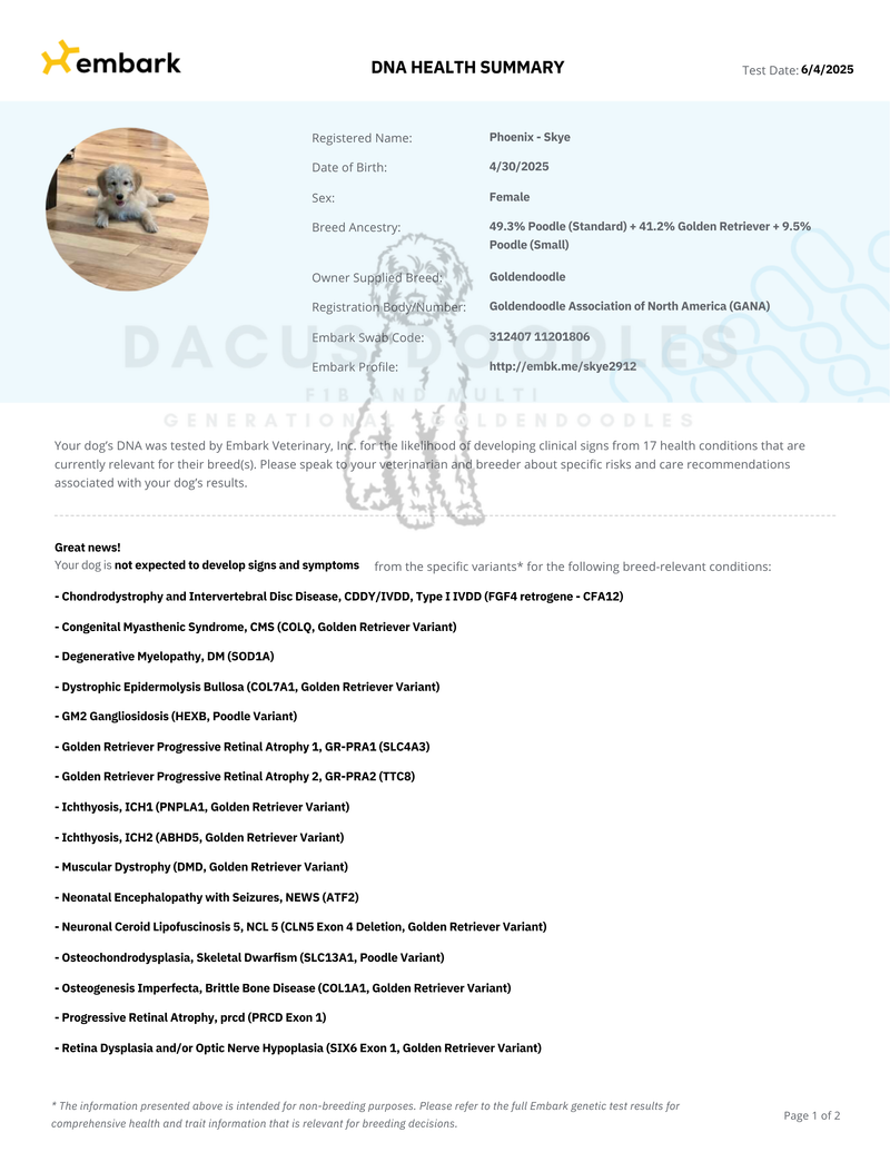 Embark: DNA Genetic Health Testing