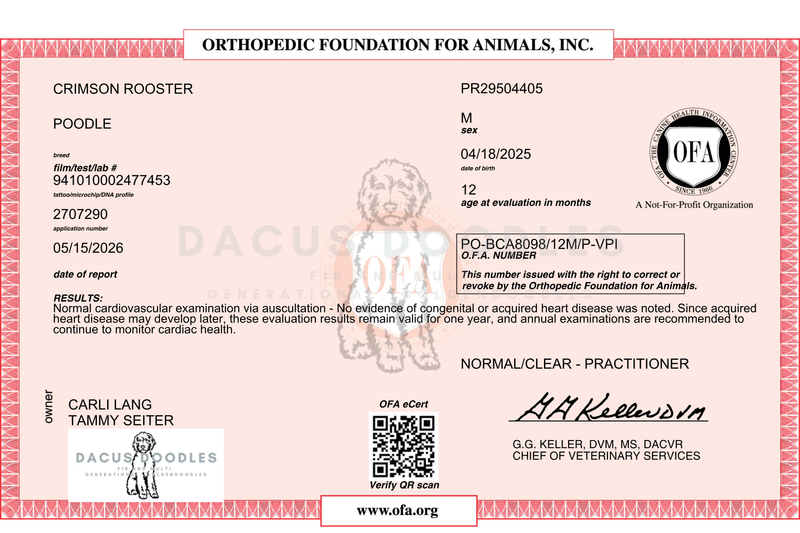 Cardiac OFA - CLEAR