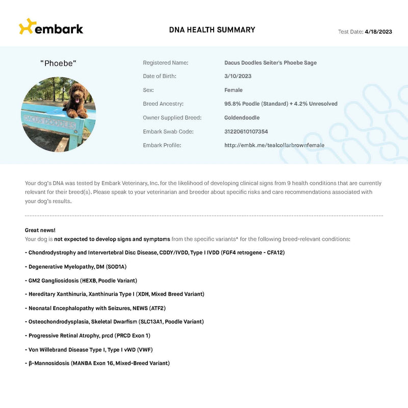 Embark: DNA Genetic Health Testing