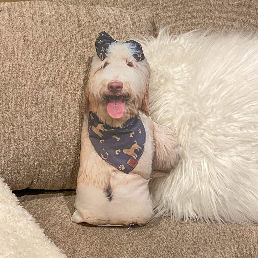 Custom Pet Pillow - Dacus Doodles