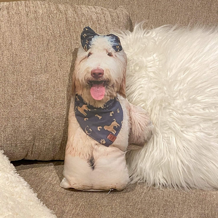 Custom Pet Pillow - Dacus Doodles