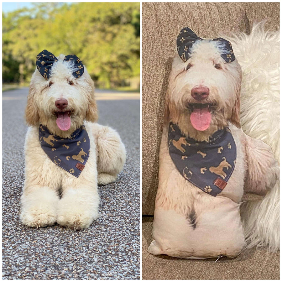 Custom Pet Pillow - Dacus Doodles