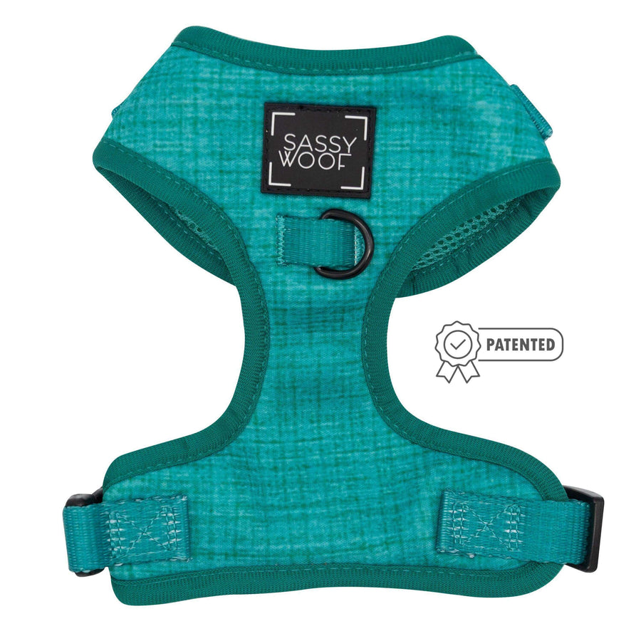 Teal Adjustable Dog Harness