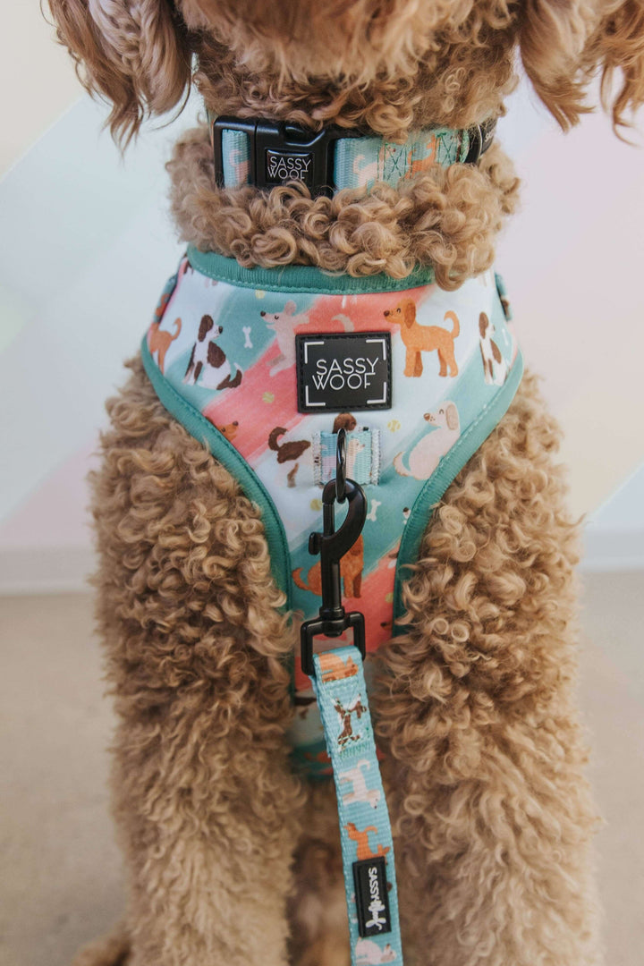 Doodles Adjustable Dog Harness - Dacus Doodles