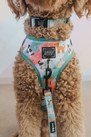 Doodles Adjustable Dog Harness - Dacus Doodles