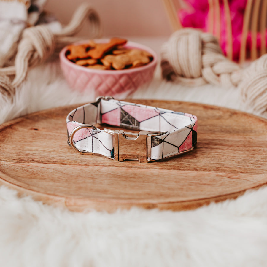 The Tinker Geo Dog Collar Gift Set