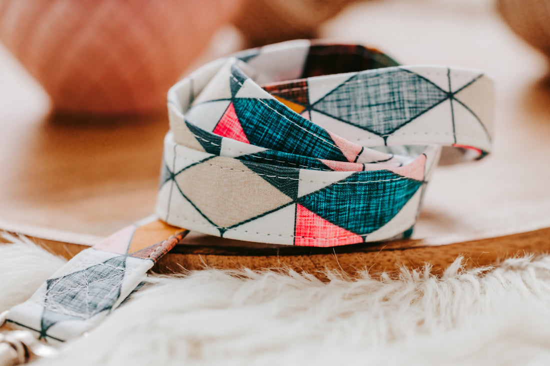 The Tinker Geo Dog Collar Gift Set