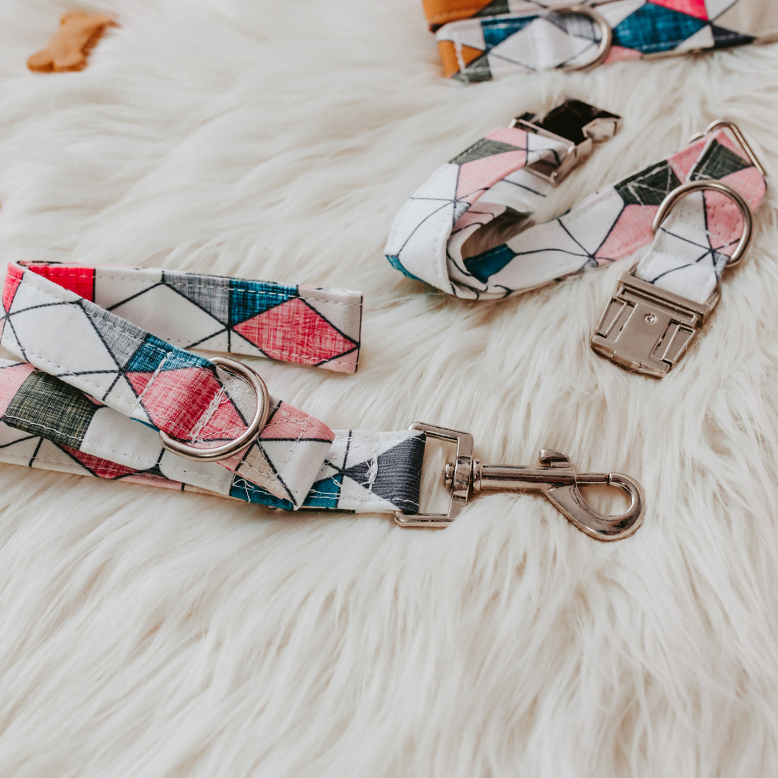 The Tinker Geo Dog Collar Gift Set