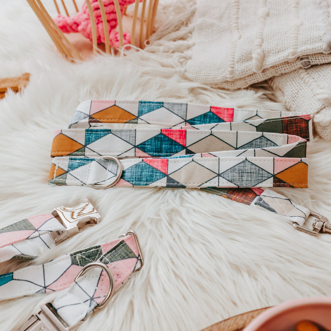 The Tinker Geo Dog Collar Gift Set