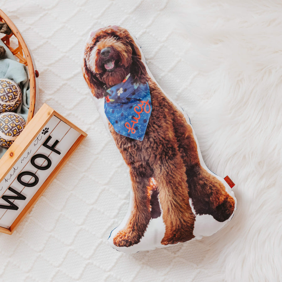 Custom Pet Pillow - Dacus Doodles