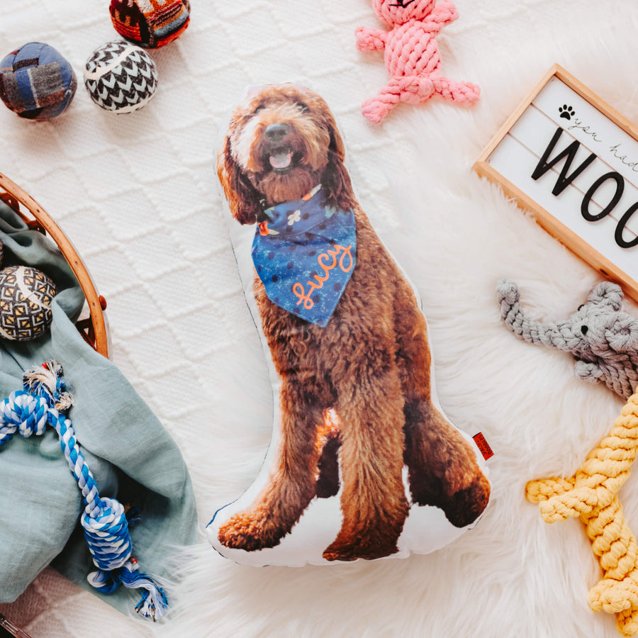 Custom Pet Pillow - Dacus Doodles