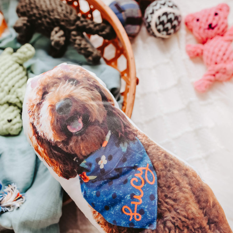 Custom Pet Pillow - Dacus Doodles