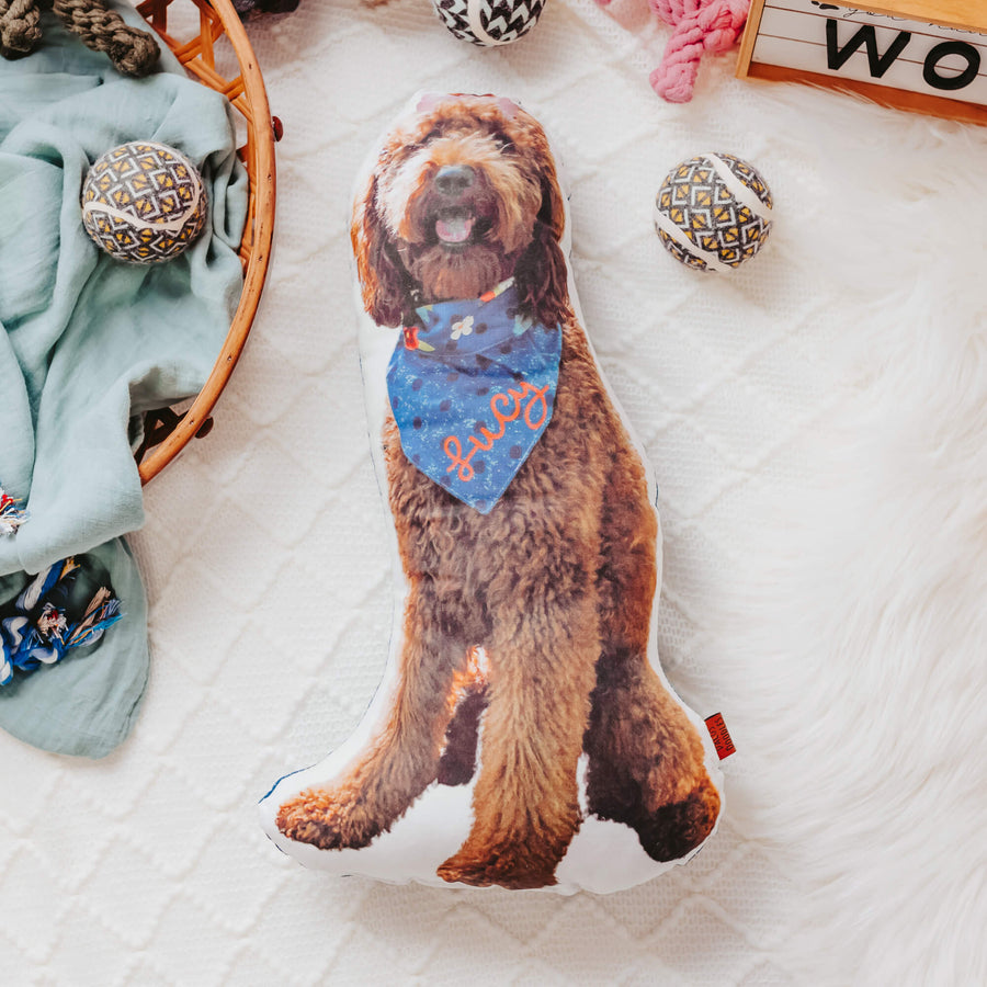 Custom Pet Pillow - Dacus Doodles