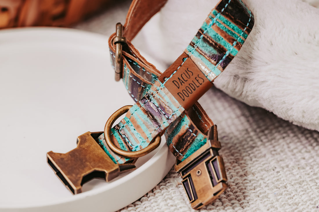 embossed leather dog collar dacus doodles