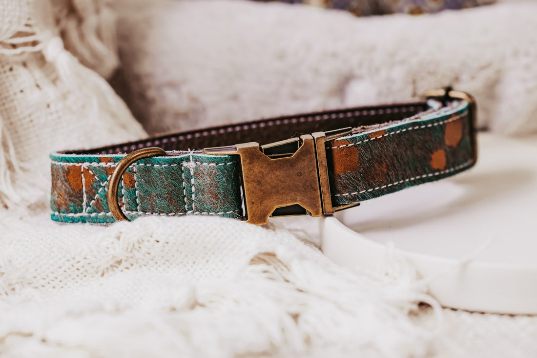 durable dog collar made by dacus doodles