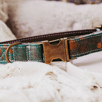 durable dog collar made by dacus doodles