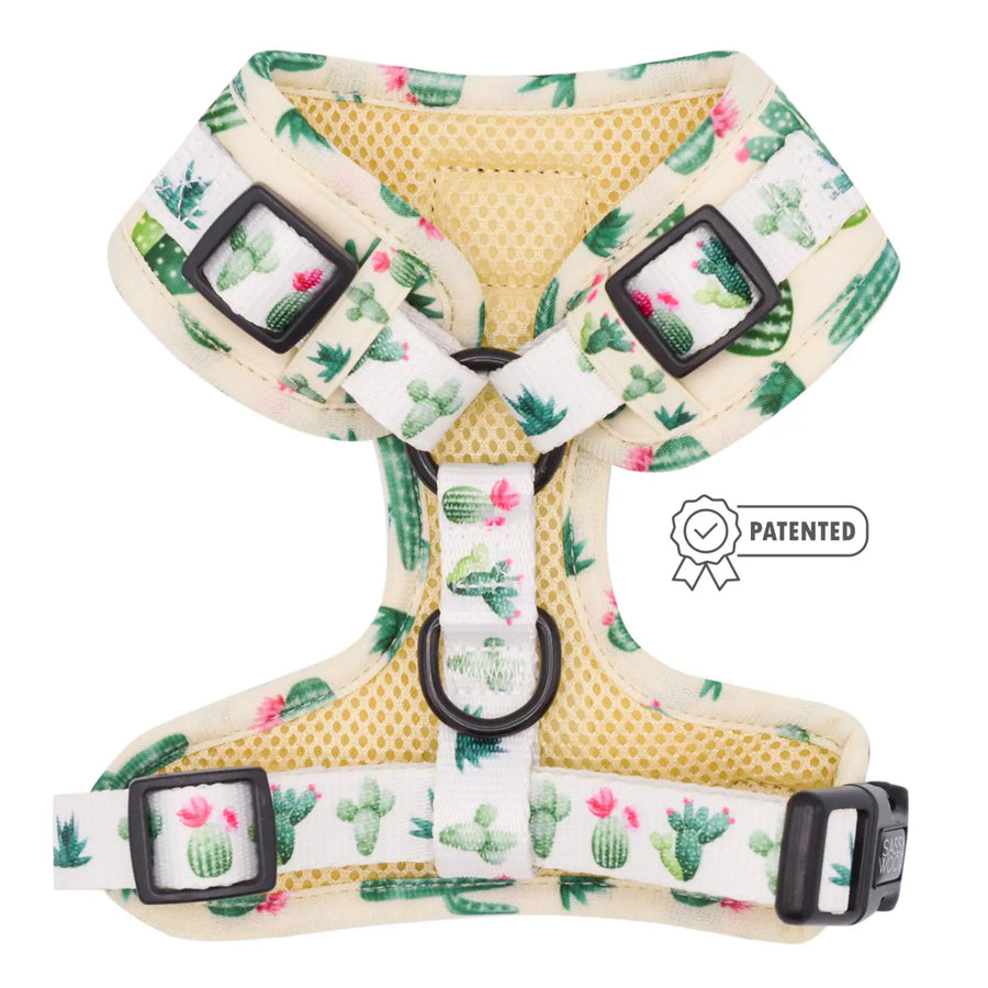 Sass on Point Adjustable Dog Harness