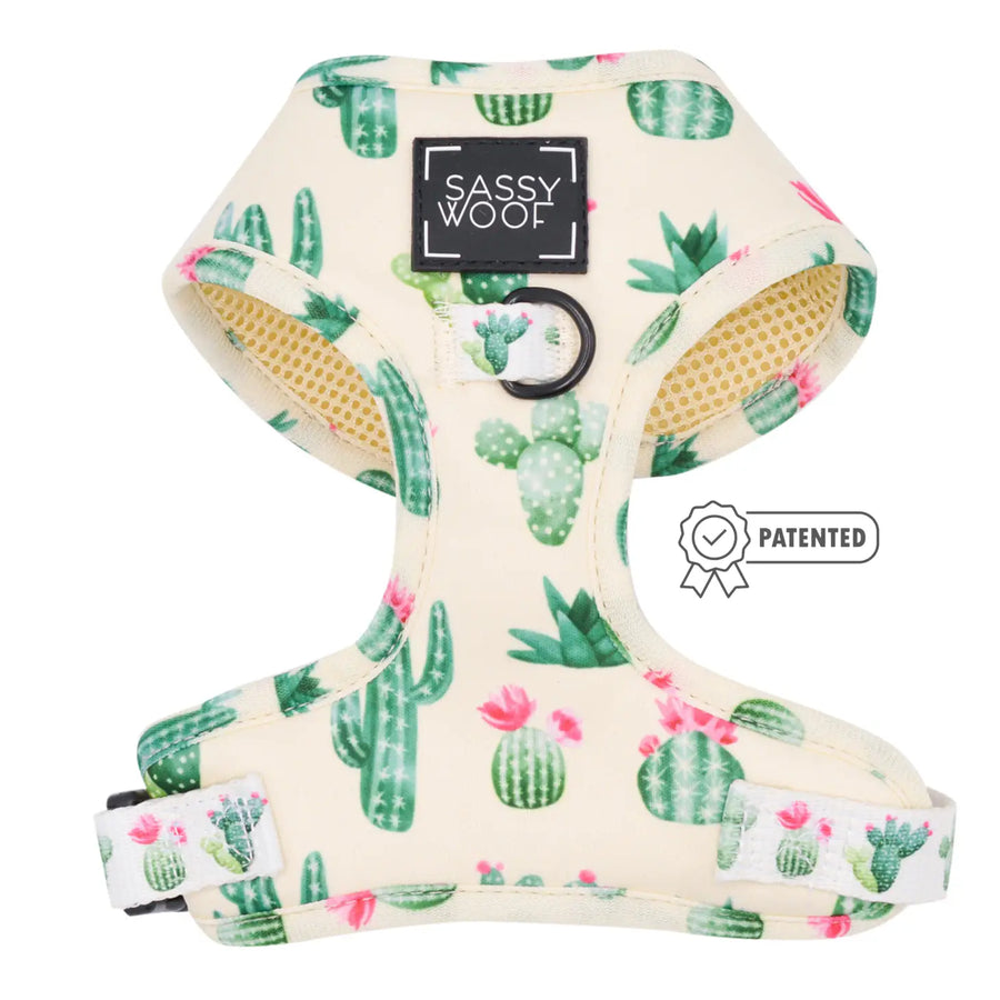 Sass on Point Adjustable Dog Harness