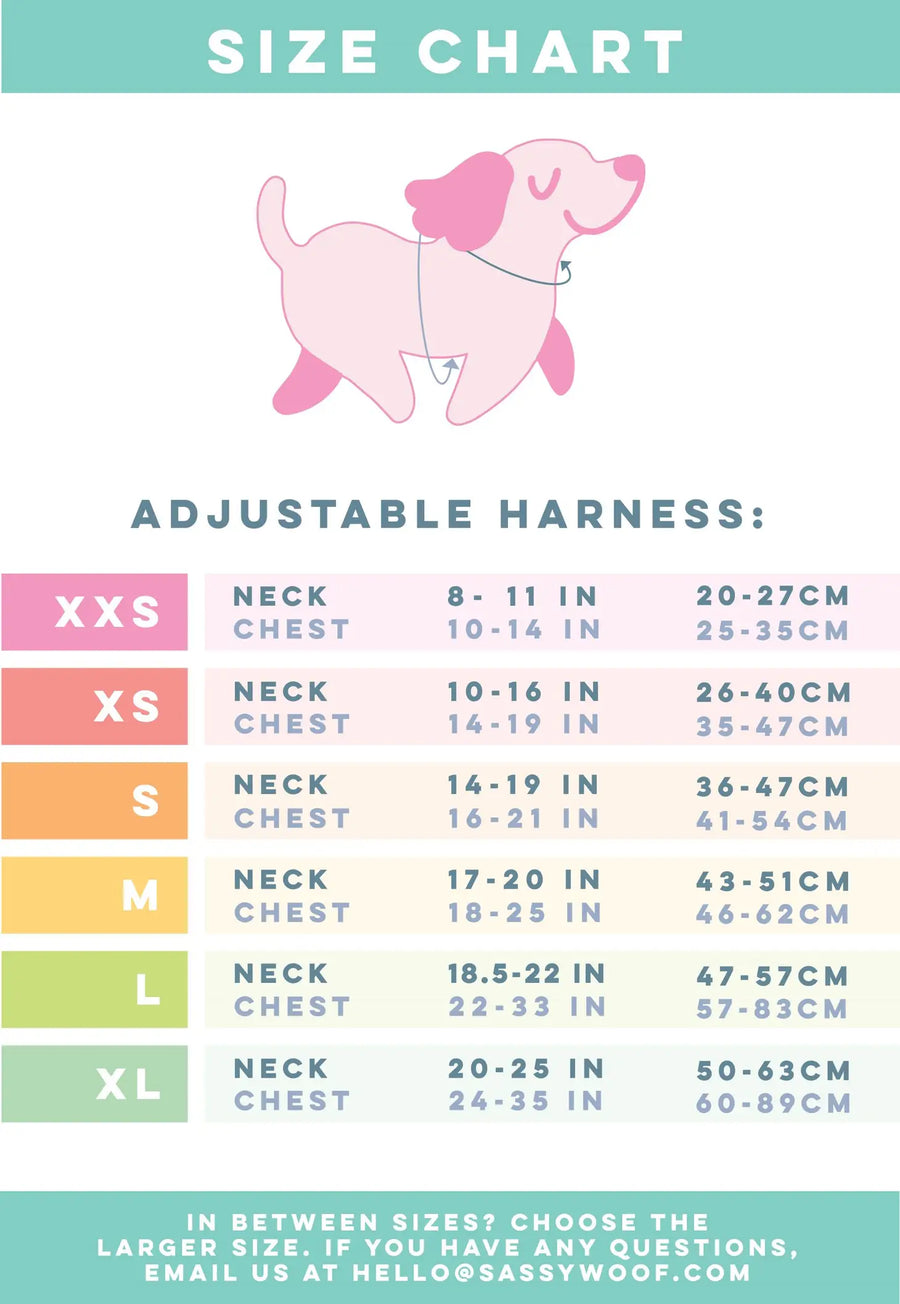 Sass on Point Adjustable Dog Harness