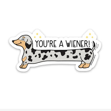 You're a Wiener Sticker