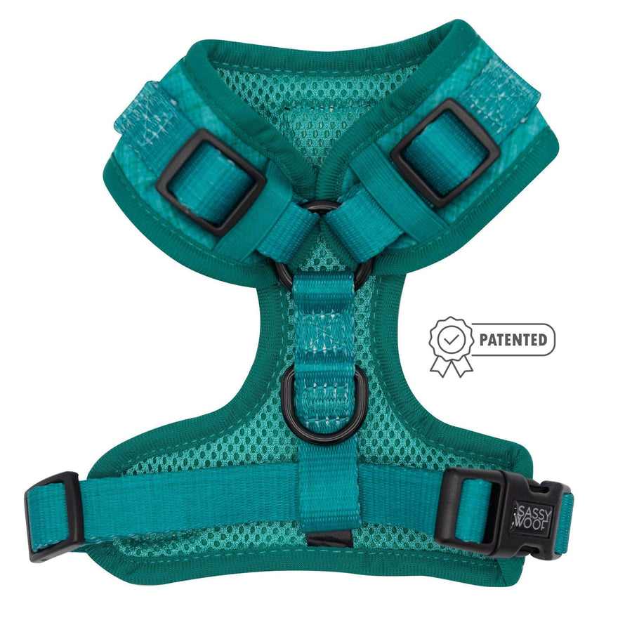 Teal Adjustable Dog Harness