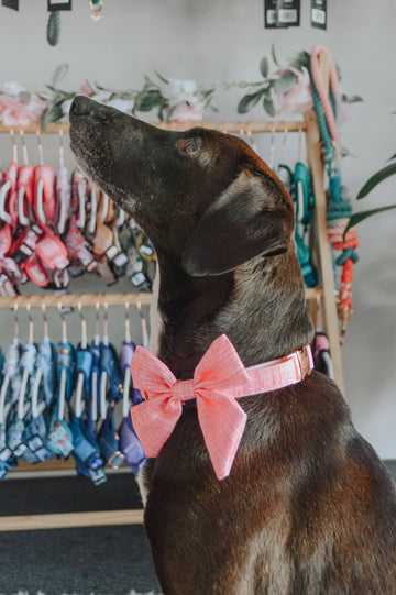 Dolce Rose Sailor Bow - Dacus Doodles