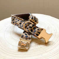 leopard print leather dog collar made by dacus doodles