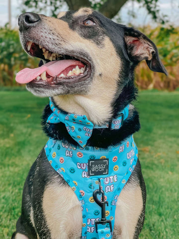 Cute AF Dog Bow Tie - Dacus Doodles